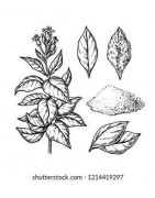 Tabac